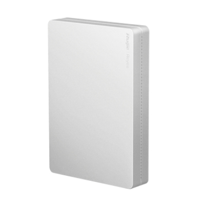 10*RG-RAP1260 (SilverCover)